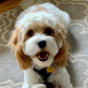 Meet your Posher, John